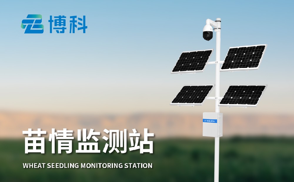 苗情監測設備清楚掌握田間作物生長情況