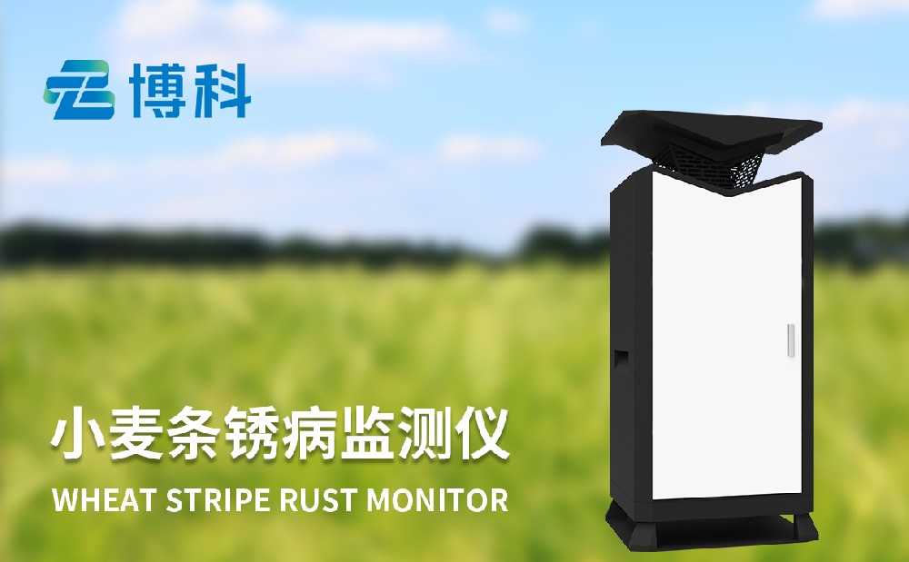 小麥條銹病監測儀精準掌握農田條銹病發生情況